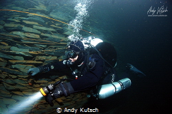 Diver in Mine Nuttlar/Germany by Andy Kutsch 